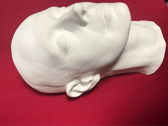 ショーン・ヤングのライフマスク | ぽんだらけ