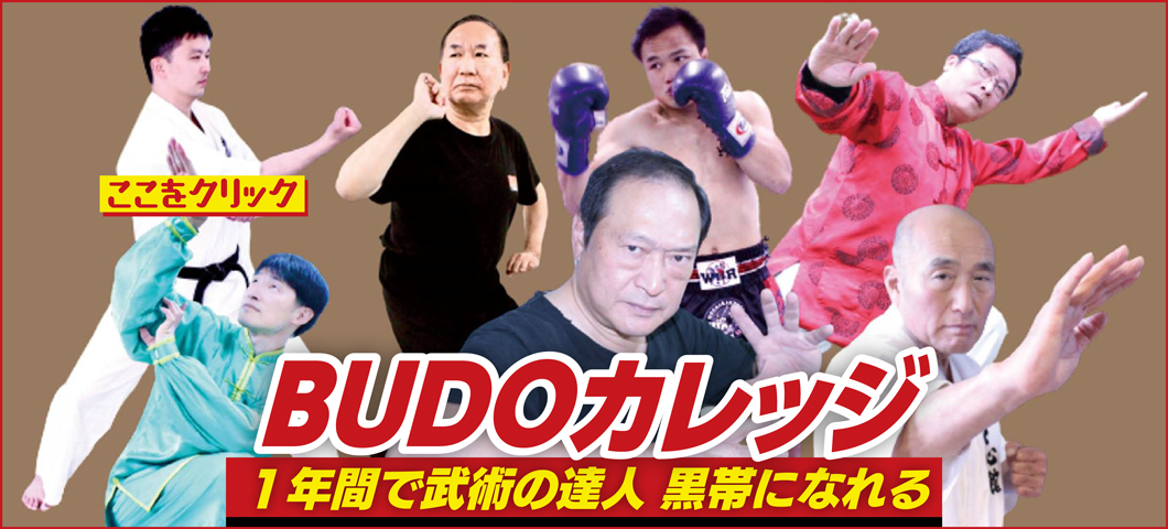 松田先生の太極拳入門が凄い！ | BUDO-STATION