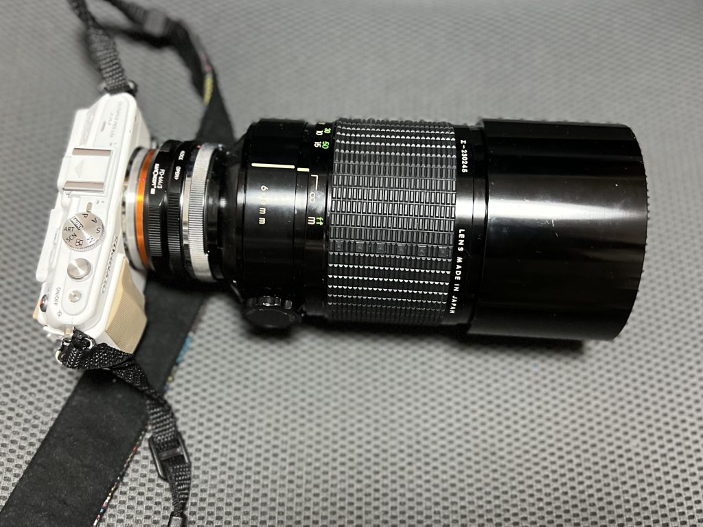 超望遠はロマンの塊！？SIGMA 600mm f8 MIRROR（シグマ）｜レビュー