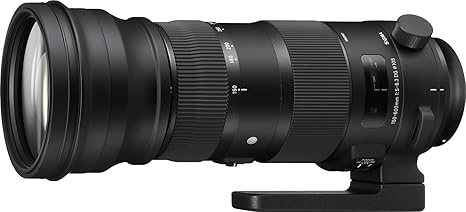 Sigma 150-600mm 5-6.3 Sports DG OS HSM Lens for Nikon Rental From R500