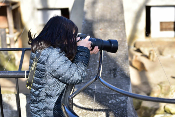 動物園の撮影ではD5500ダブルズームキットの望遠レンズが優位 | カメラアマ