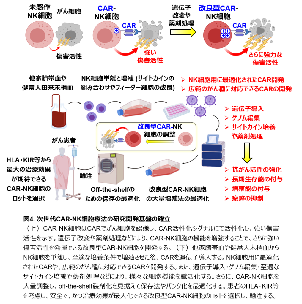腫瘍免疫応答研究分野 – 愛知県がんセンター