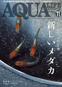 アクアライフ 11月号 電子書籍版 | ebookjapan ヤフー店