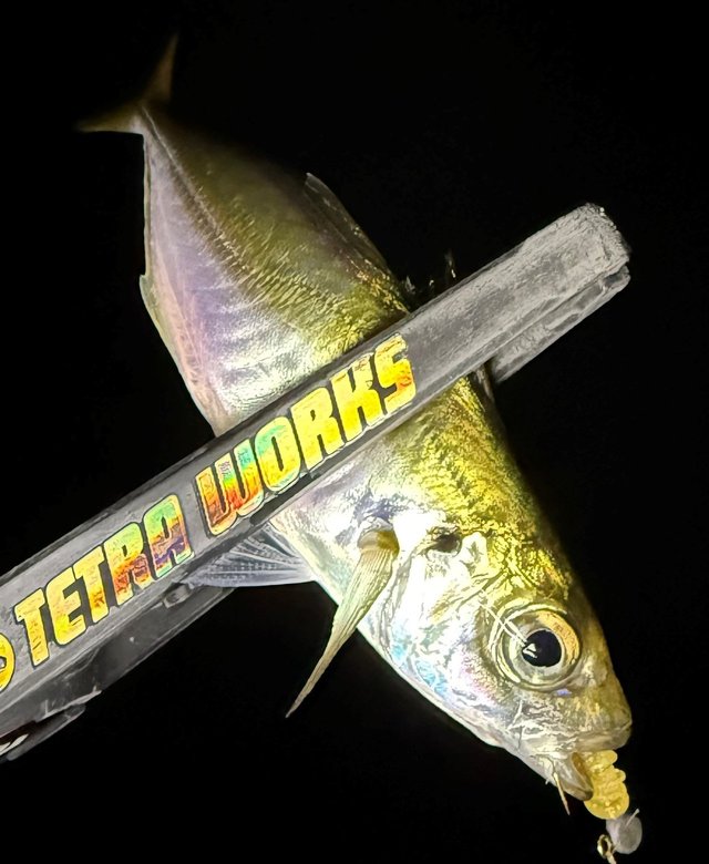 ダイワ スピニングリール 24ルビアス ST SF2000SS-H【即日発送】(ST