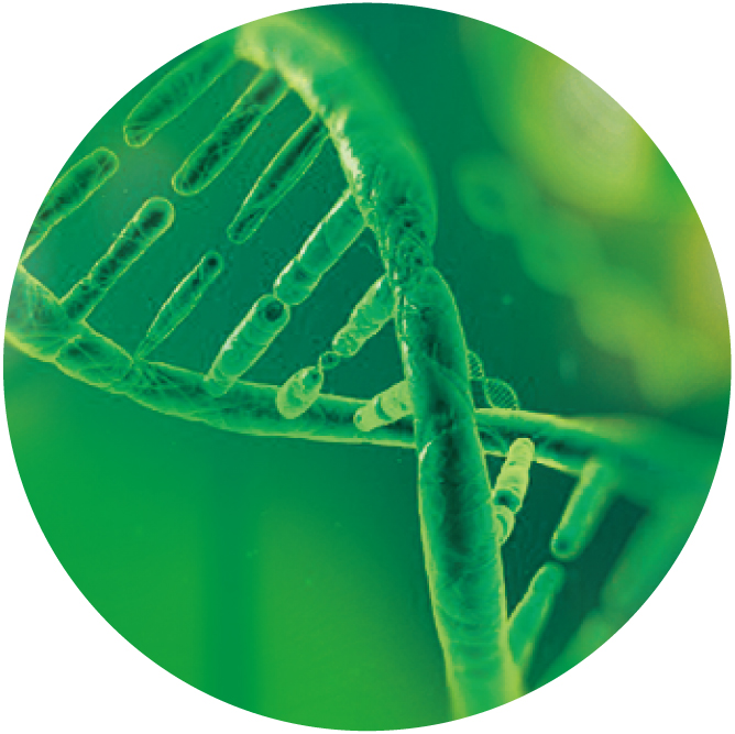 ラボプラス SPスティンガー | 北海道札幌市の化粧品・エステ・美容総合