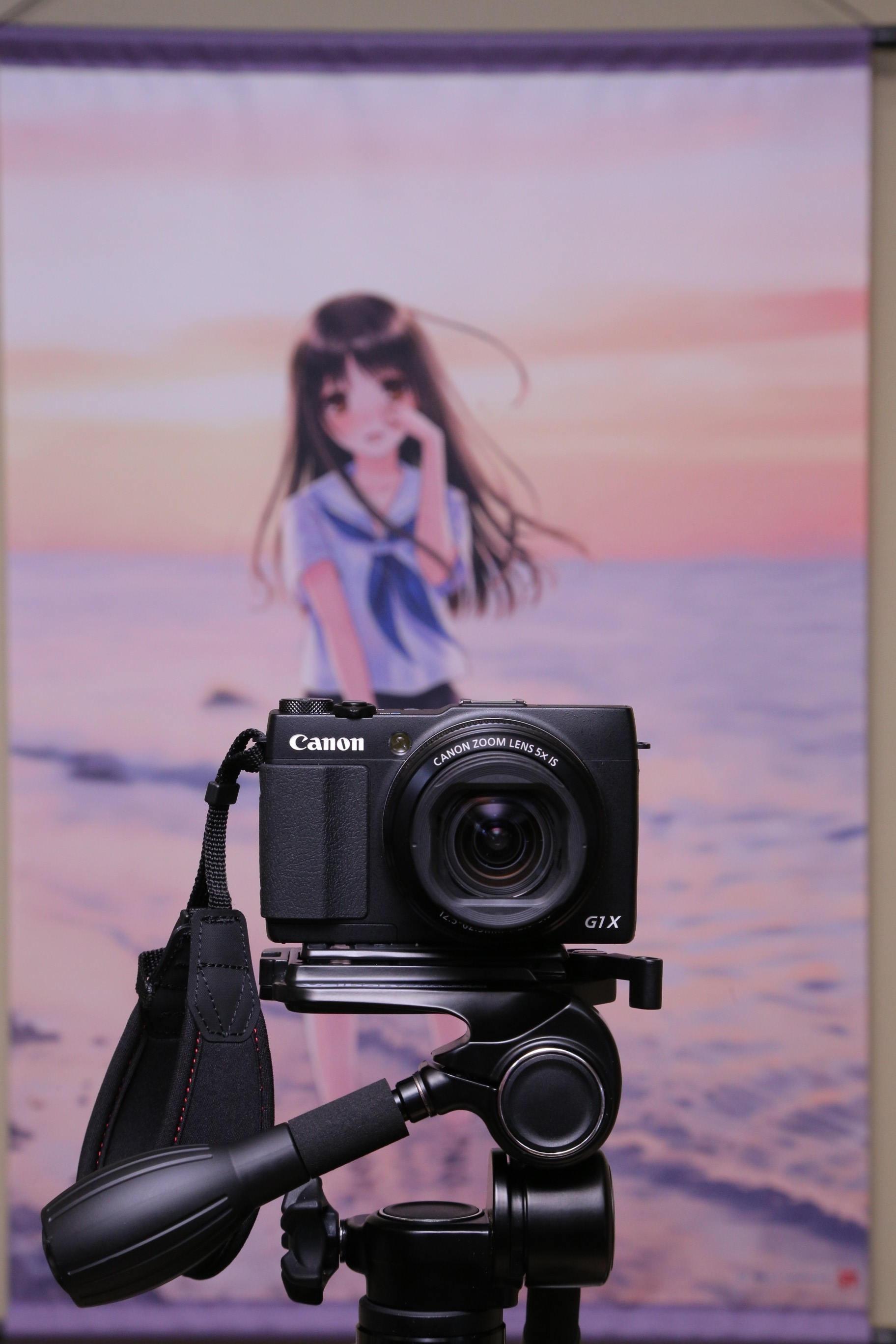 Canon PowerShot G1X MarkⅡ のレビューのようなもの - 趣味の倉庫