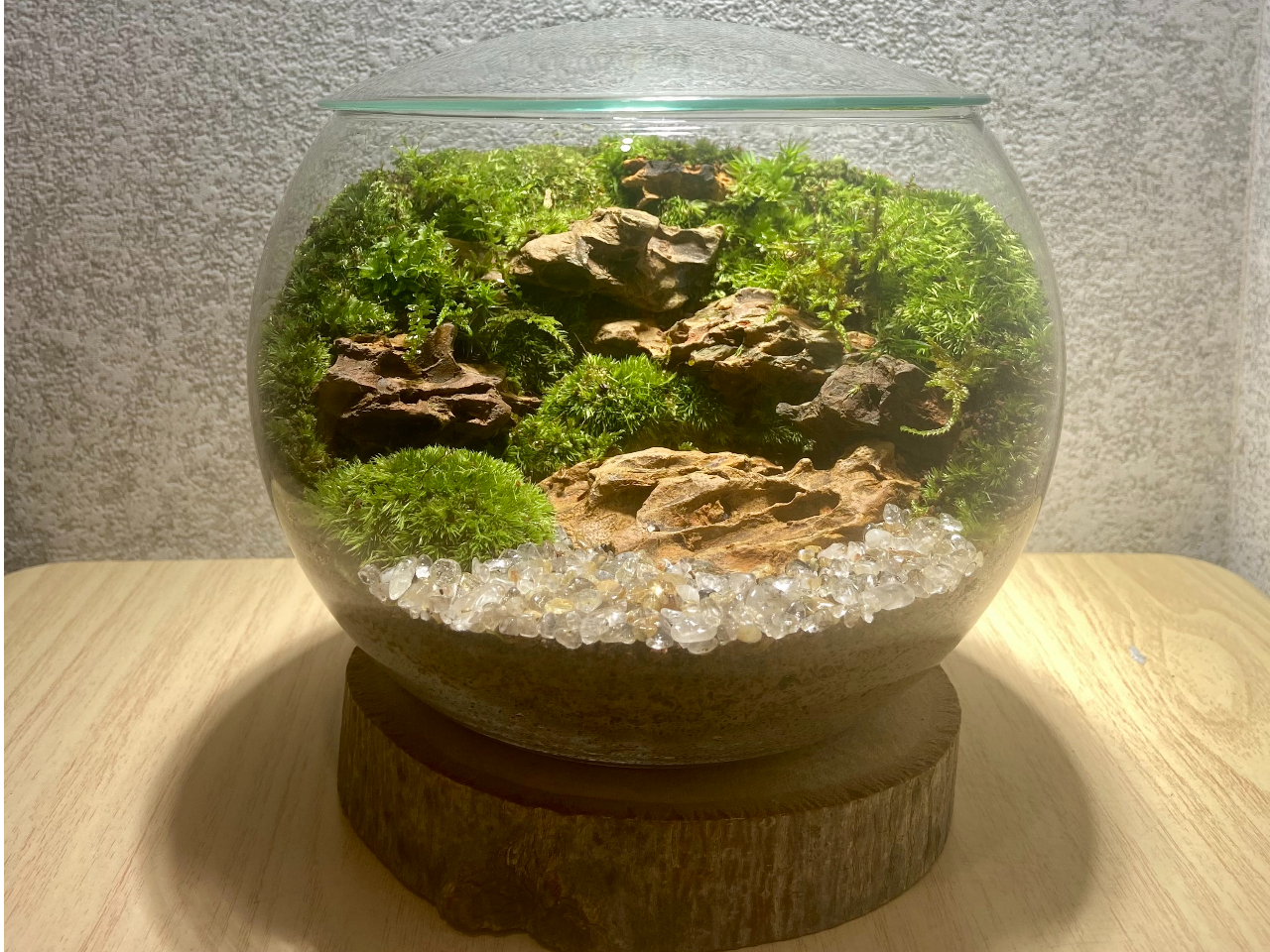 本格・自由制作90分】自分だけの世界を表現する苔テラリウム作り体験