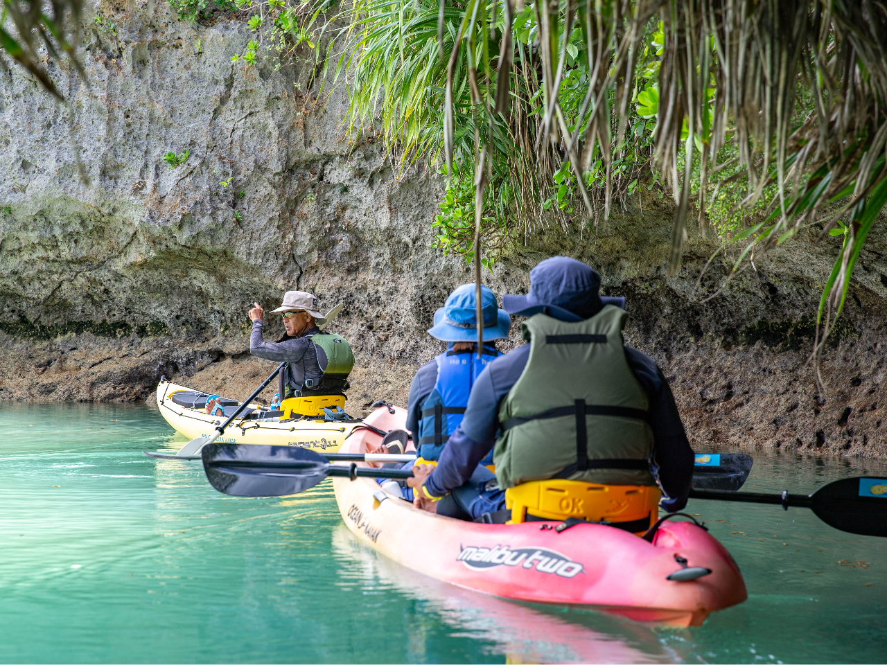 初心者やお子様連れでも安心！】トゥリバー自然探検カヤックツアー