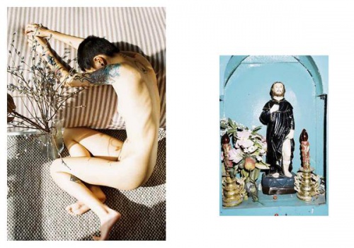 Flowers and Fruits - リン・チーペン（林志鹏）aka No.223 | AKIO