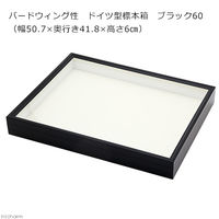 バードウィング バードウィング製 ドイツ型標本箱 ブラック60