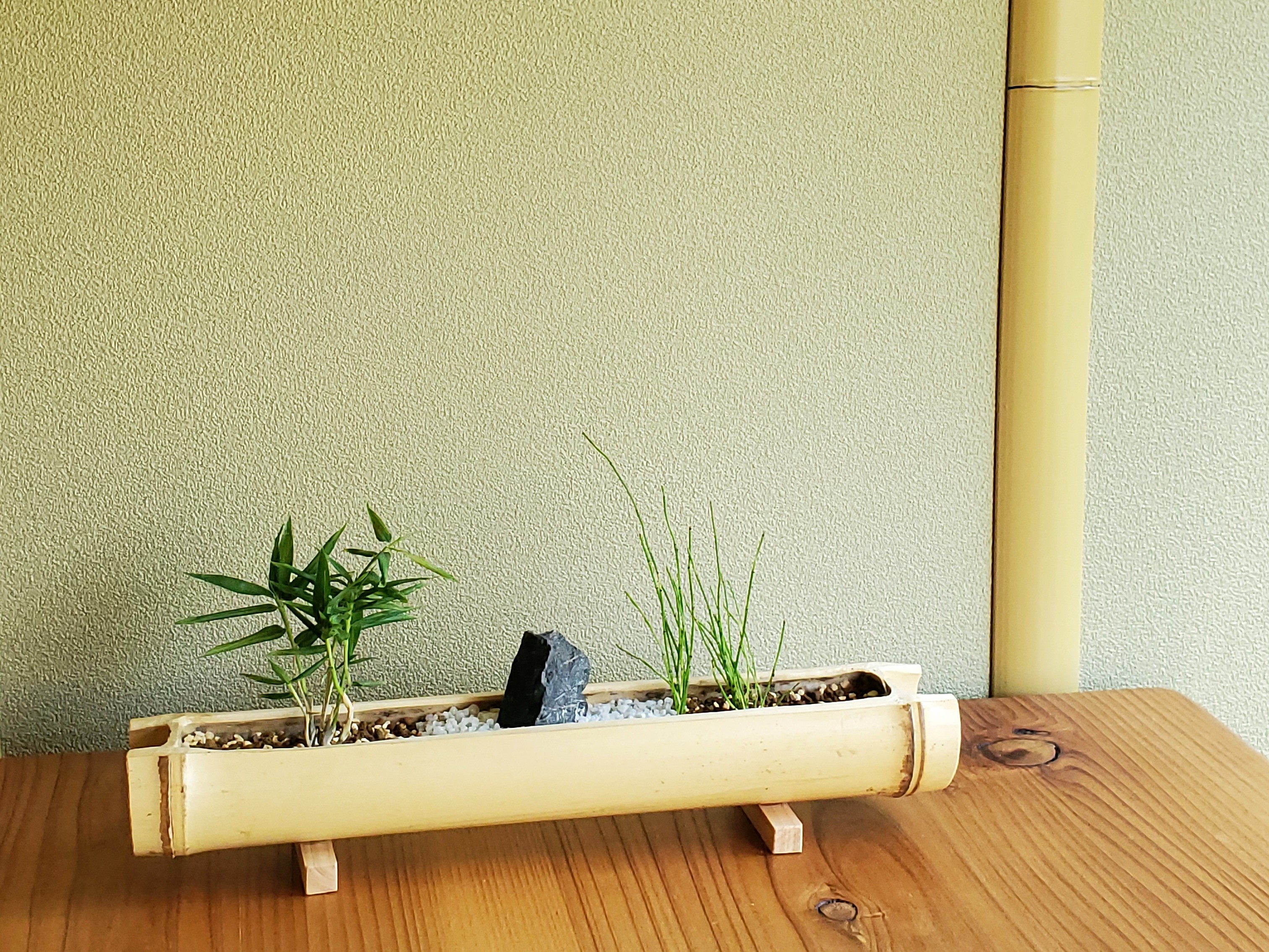 イベント・体験】 6/9(日) 夏の山野草のミニ寄せ植え盆栽づくり（竹鉢