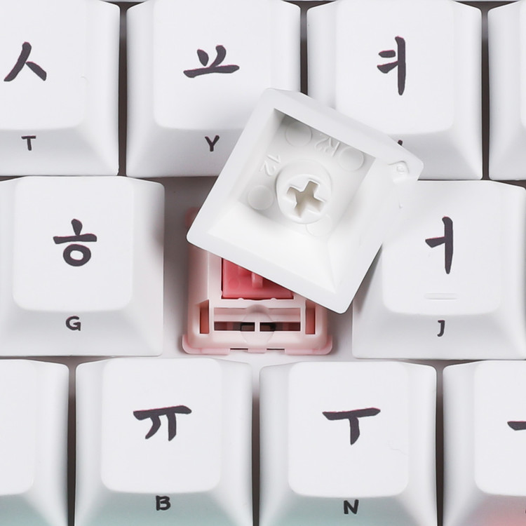 Ninja 108S Jiphyeonjeon Traditional Korean Dancheong Gyeongbokgung