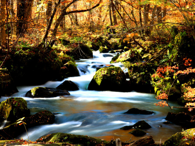 奥入瀬渓流】アクセス・営業時間・料金情報 - じゃらんnet