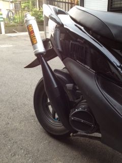 カメレオンファクトリー パラライザーⅢ のパーツレビュー | Live Dio