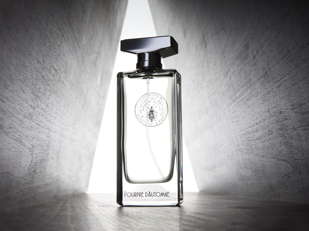 新ブランド】Maison Violet（メゾン ヴィオレ）が8月16日 日本上陸