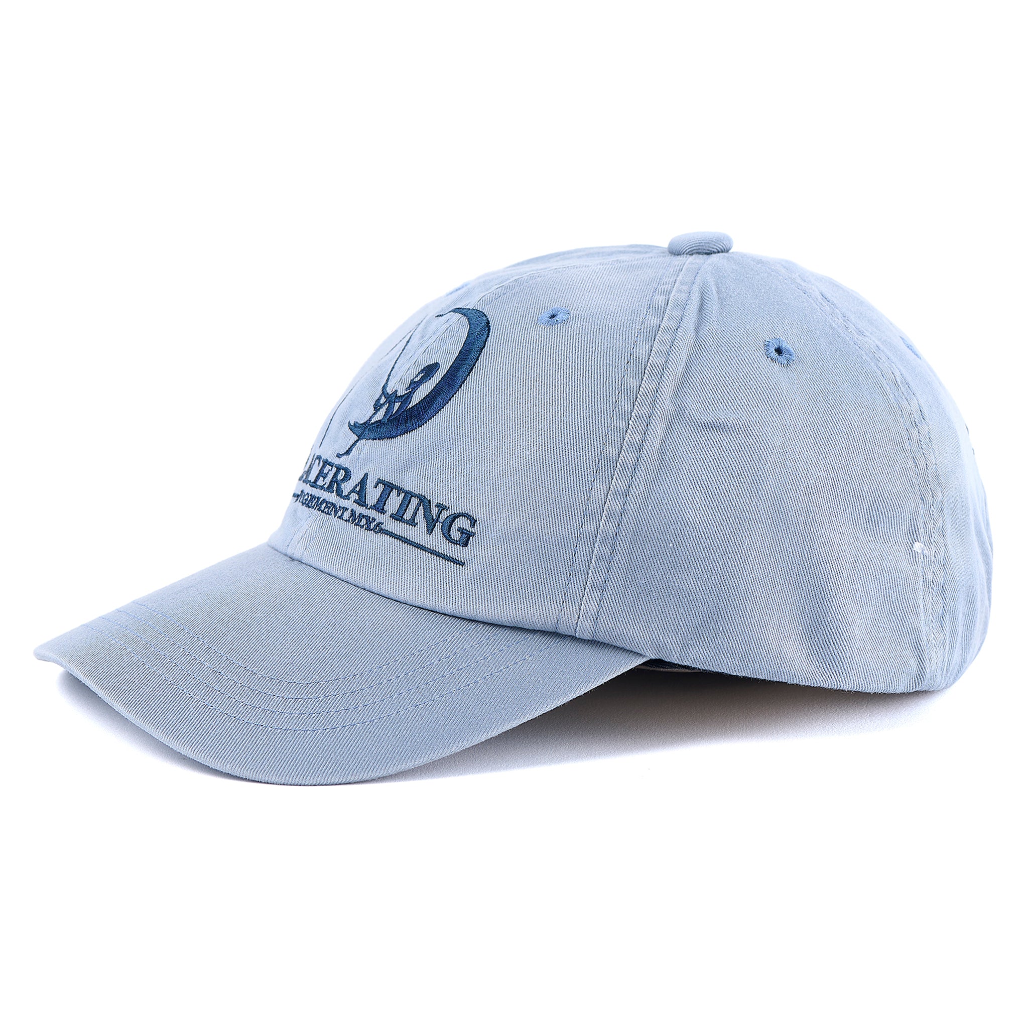 6PANEL CAP/LACERATING / BLUE | GR8