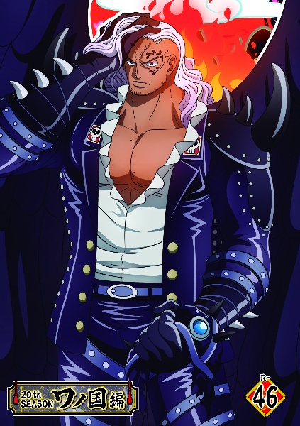 ONE PIECE ワンピース 20THシーズン ワノ国編 R-46 - レンタルDVD