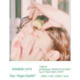 4月21日渋谷O−EASTにてシャムキャッツ ツアー ”Virgin Graffiti”東京