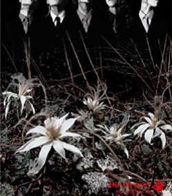 ain't afraid to die/DIR EN GREY