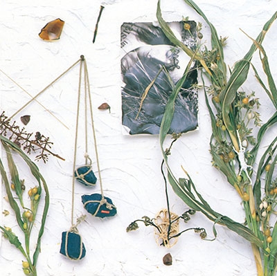 夏のぬけがら/真島昌利