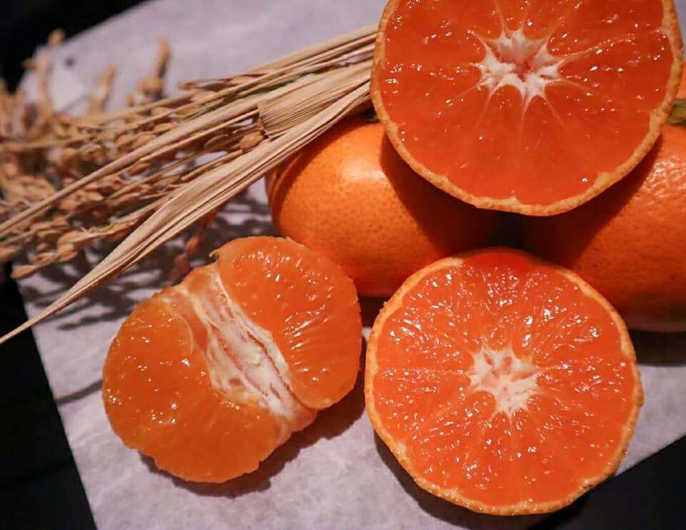 幻のブランドみかん】高根島みかん100％ジュース【2本】 LOROfarm