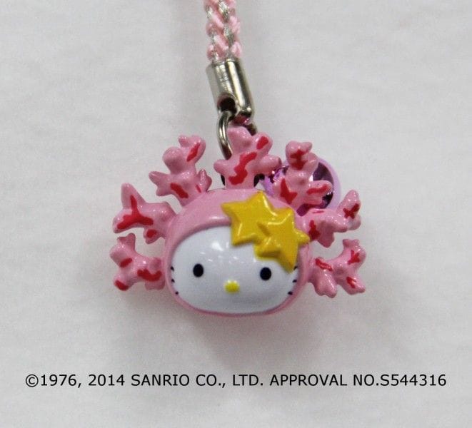 沖縄限定】「このままではヒトデのせいで、サンゴではなくおもちになり