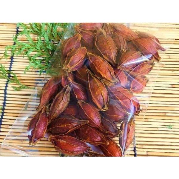 くちなしの実 100g (山梔子 巵子 梔子 クチナシ) [常温限] /【Buyee