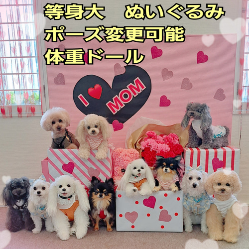 等身大 実物大 リアル ぬいぐるみ 犬 プードル マルチーズ