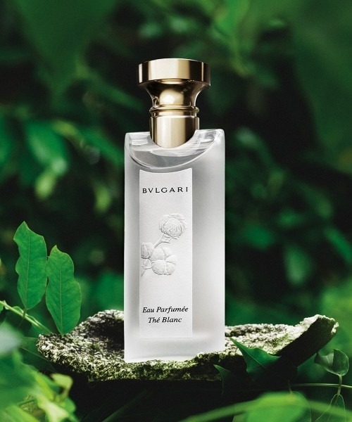 ブルガリ オ パフメ テ ブラン オードトワレ 75mL（香水）｜BVLGARI