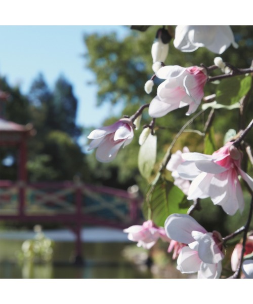 レプリカ オードトワレ スプリングタイム イン ア パーク (100mL