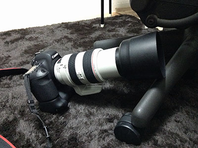 EF70-300mm F4-5.6L IS USM 妥協の望遠Lズームレンズ - Music Box