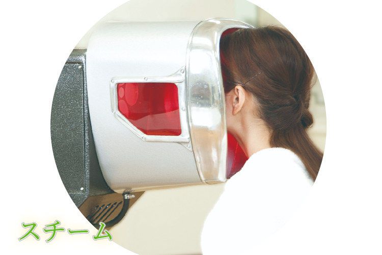 お手入れメニュー - クロロフイル美顔教室嶋村【京橋・守口】