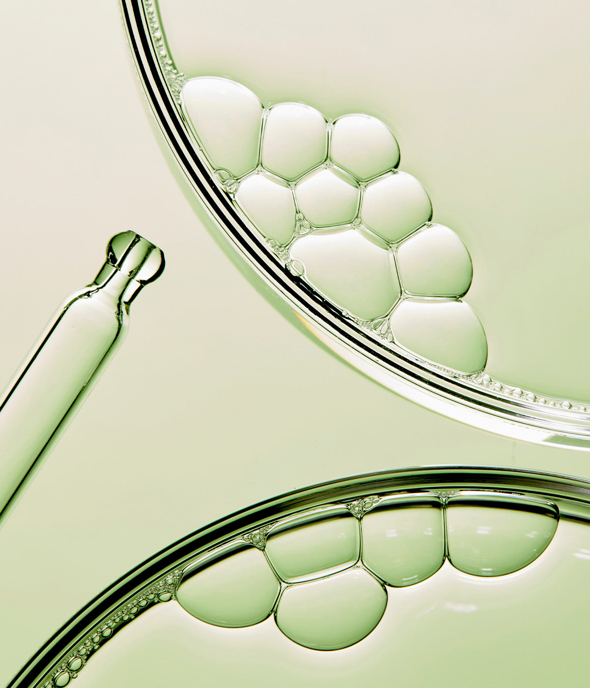 BioPhyto Enlightening Eye and Neck Cream – Christina Cosmeceuticals