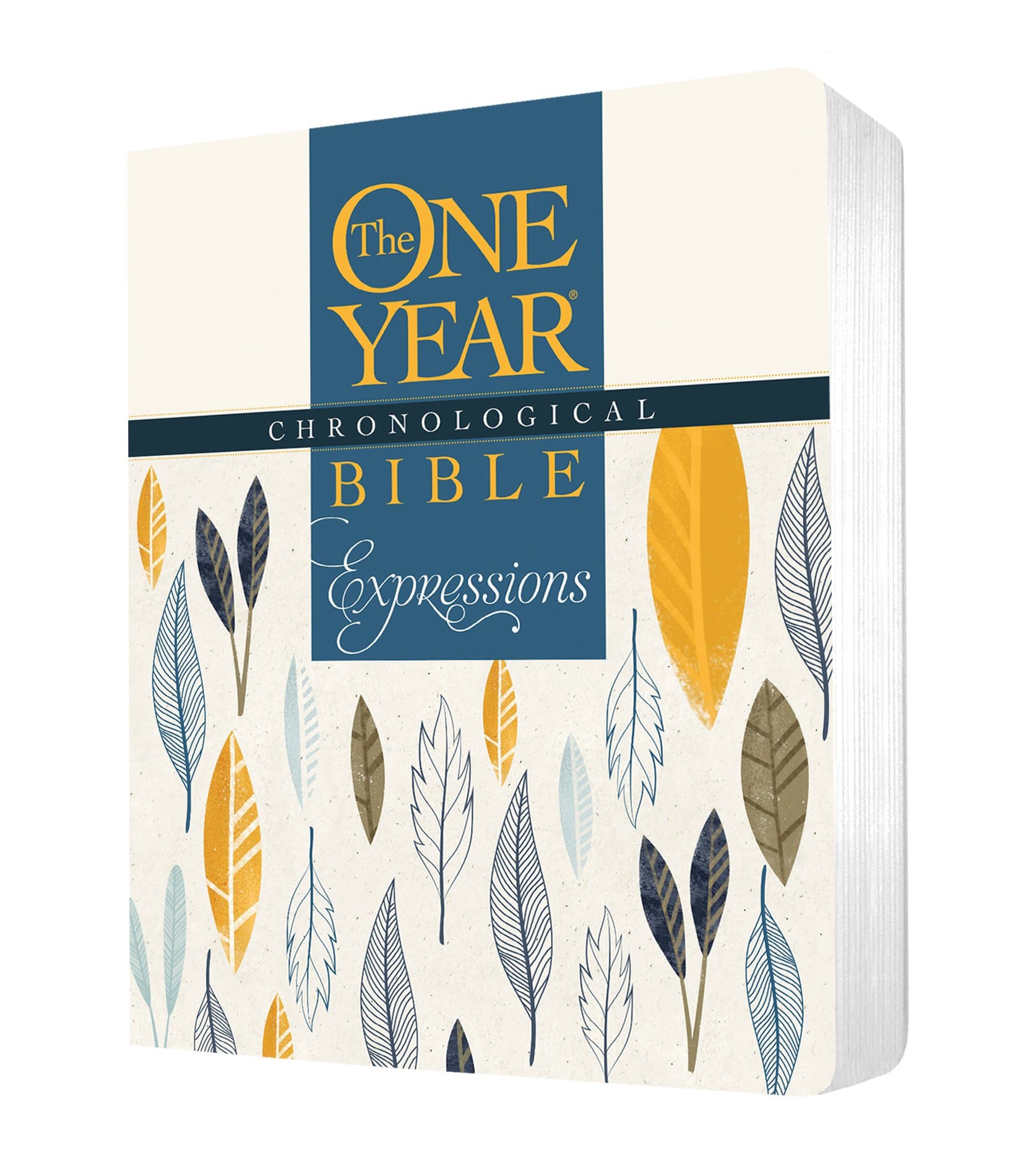One Year Chronological Bible, Expressions Deluxe NLT
