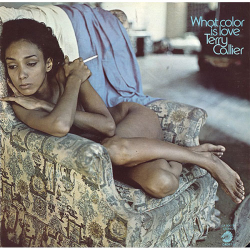 ホワット・カラー・イズ・ラヴ [直輸入盤][LP][アナログ] - テリー