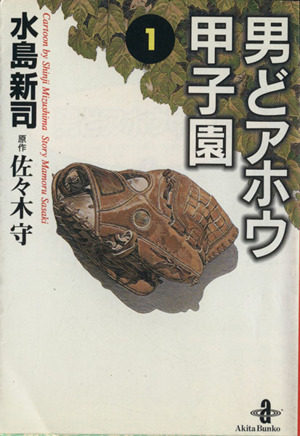 コミック全巻セット・まとめ買い】男どアホウ甲子園(文庫版)(全18巻