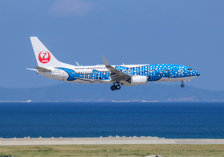 JTA ボーイング737-800 ジンベエジェット: 衣類・ライフスタイルグッズ