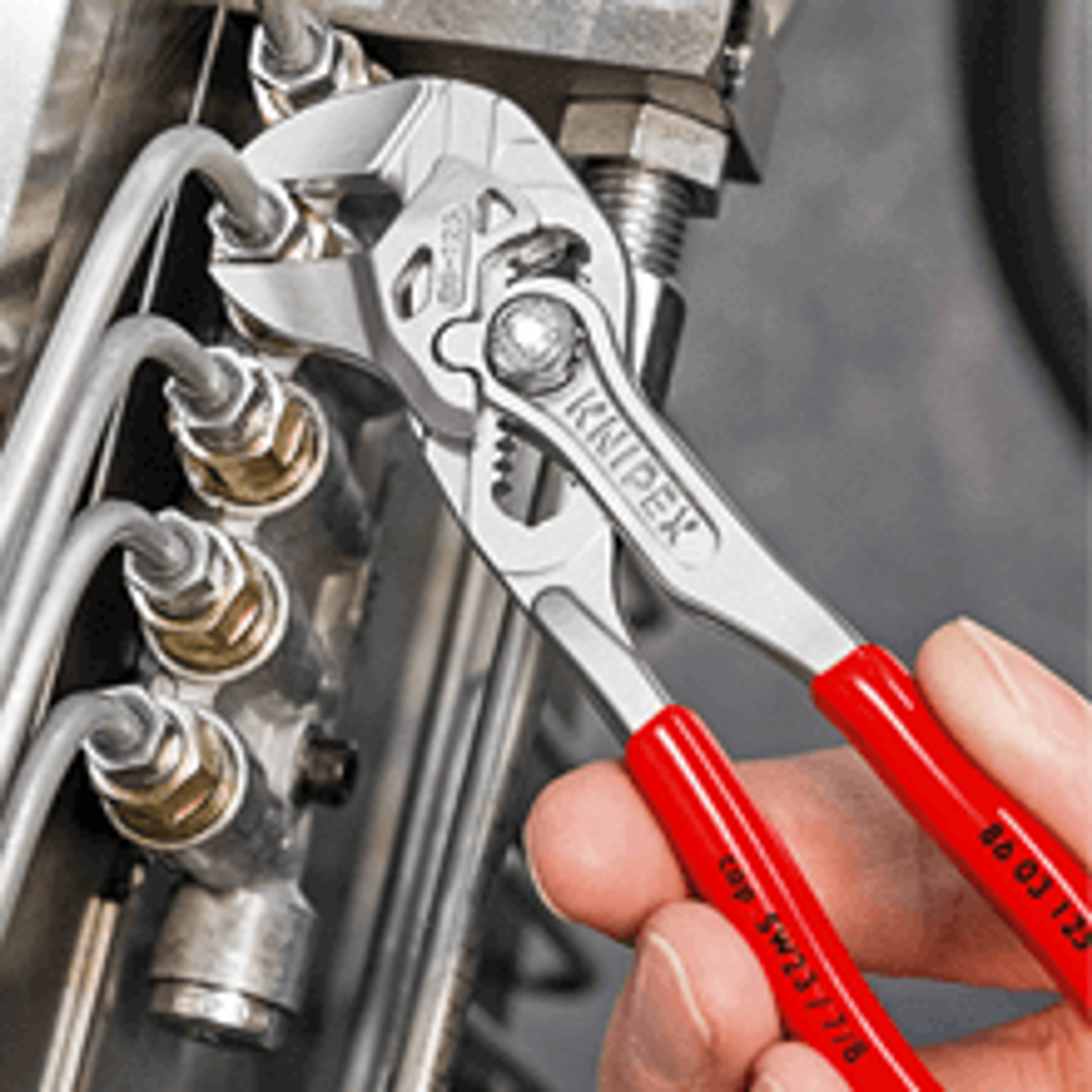 image.png?v=0&options=w_5000