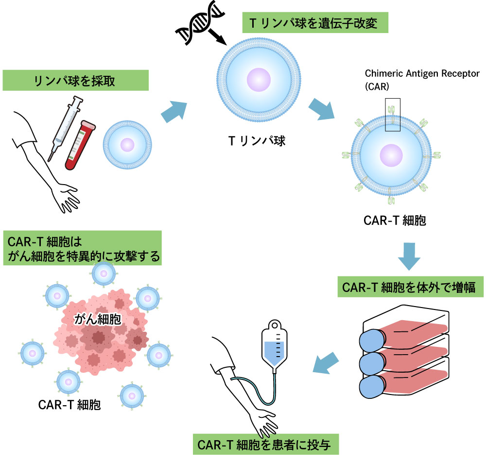 技術 - 株式会社A-SEEDS | 信州大学発ベンチャー