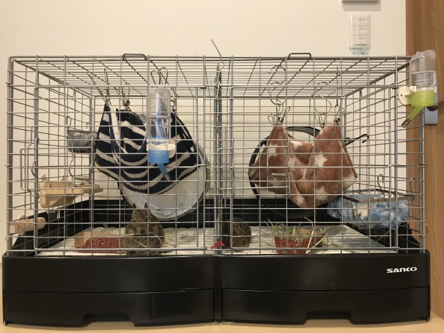 デグーのケージの買い替えの参考に！イージーホーム80-PROを購入