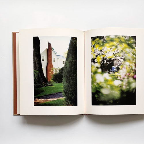 古書古本 dessin：Terri Weifenbach: Between Maple and Chestnut