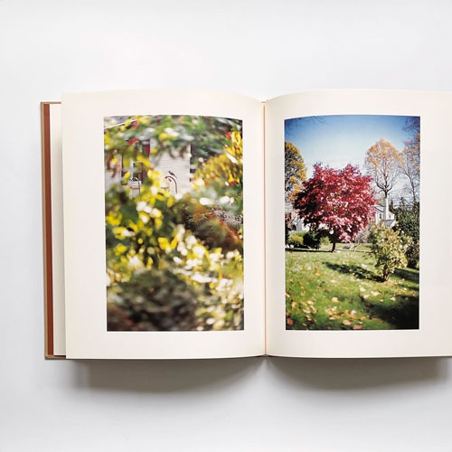 古書古本 dessin：Terri Weifenbach: Between Maple and Chestnut