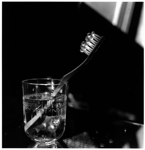 Michiko KON - 今道子 | shashasha - Photography & art in books