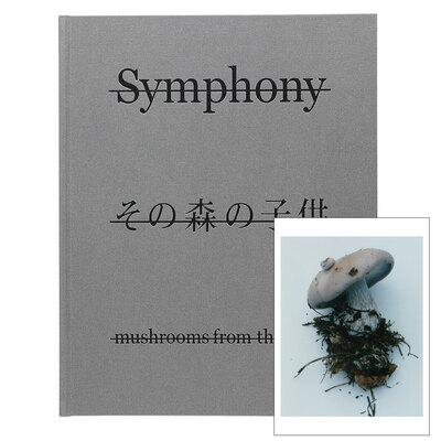 Symphony その森の子供 (スペシャルエディション) - ホンマタカシ