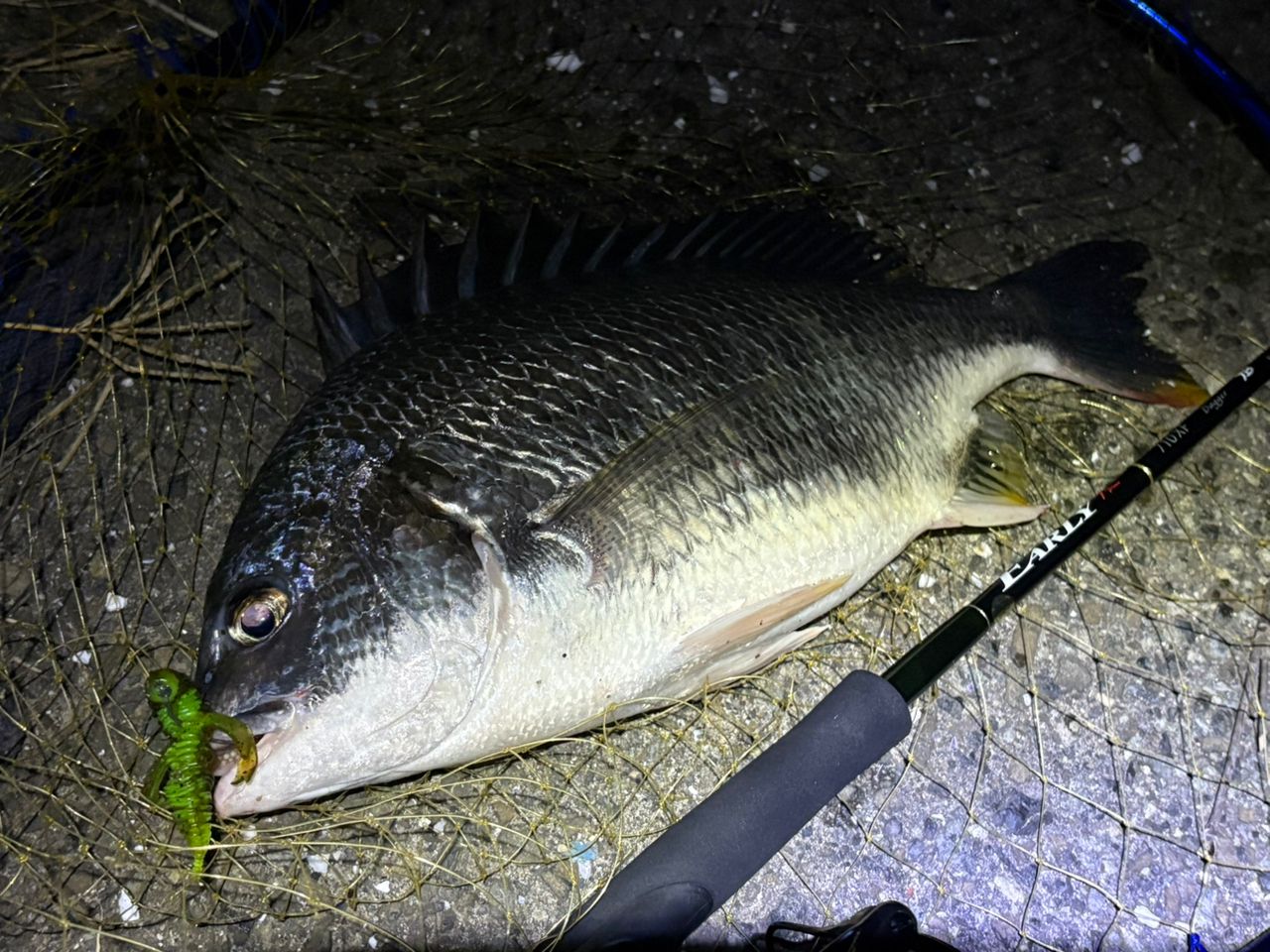 YAMAGA Blanks アーリー プラス 710XFの最安値・インプレ・釣果 | 本音