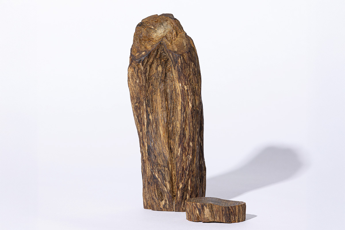 香木（こうぼく）」お香のもととなる伝統的な素材｜日本の香りの素材