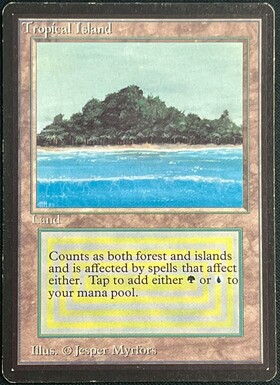 3ED)Tropical Island(状態SP)(EN)/(未訳) | 未登録 | ドラゴンスター