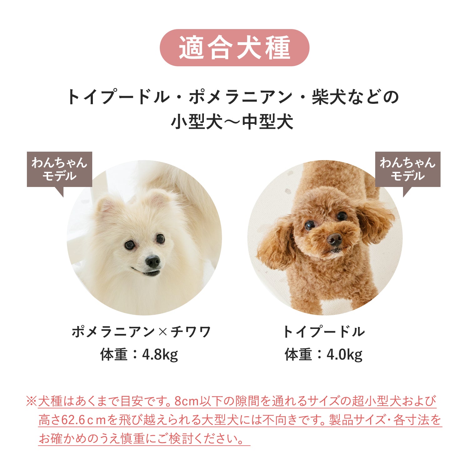 ペットサークル バーチ ドア付き 8枚セット | iFam（アイファム