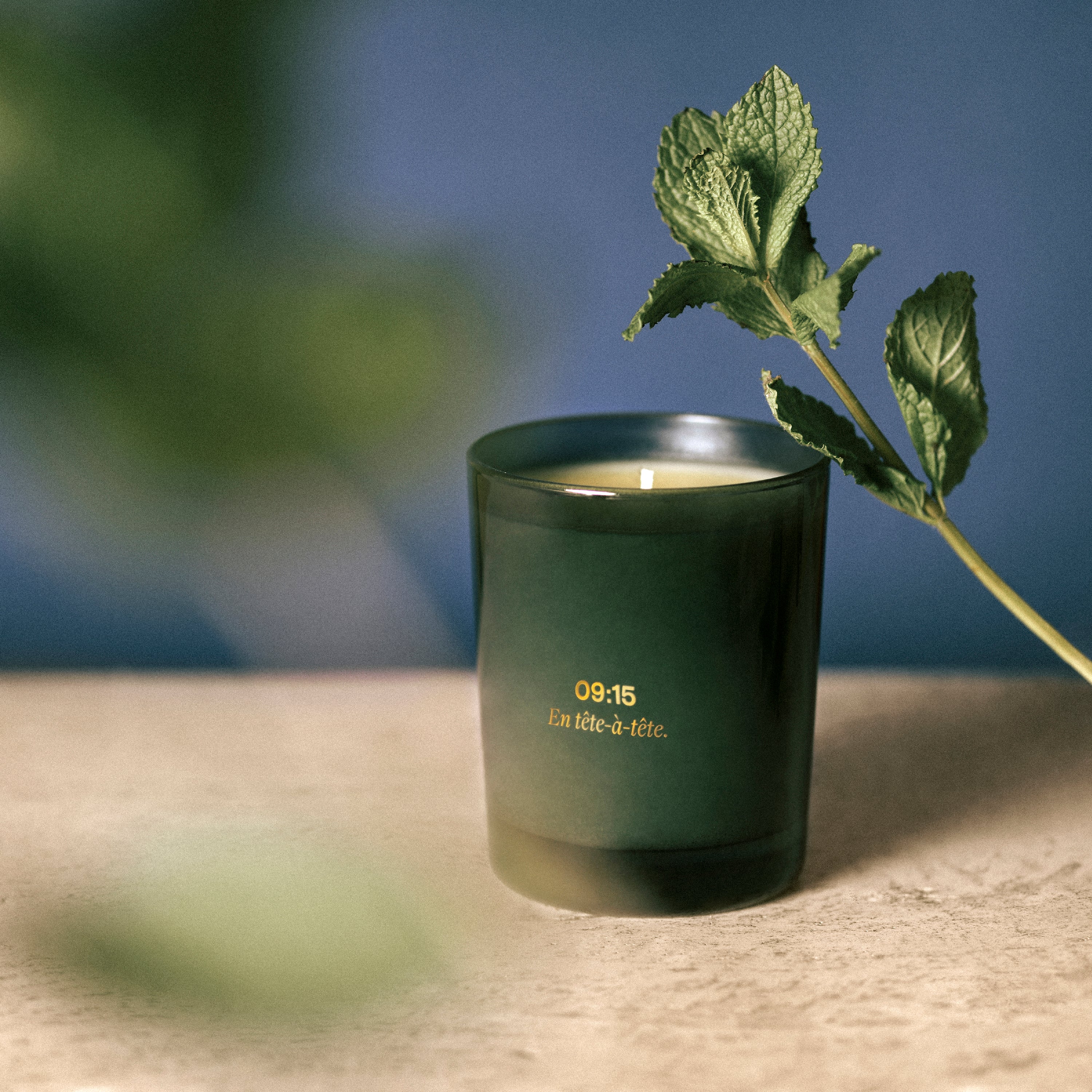 09:15 センティドキャンドル - ドルセー ジャパン (d'Orsay Japan