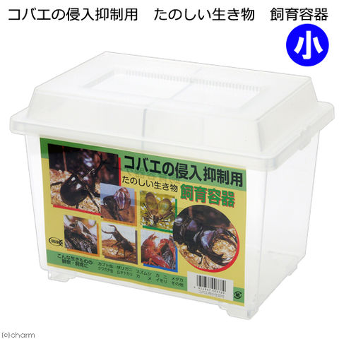 dショッピング |プラケース コバエの侵入抑制用 たのしい生き物 飼育